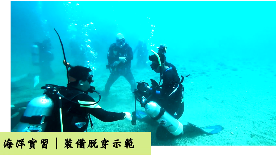 2019真理通識94夯課程介紹：水肺潛水圖片